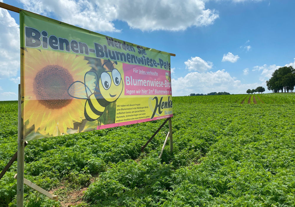 Bienen-Blumenwiese-Aktion in Hohenwepel